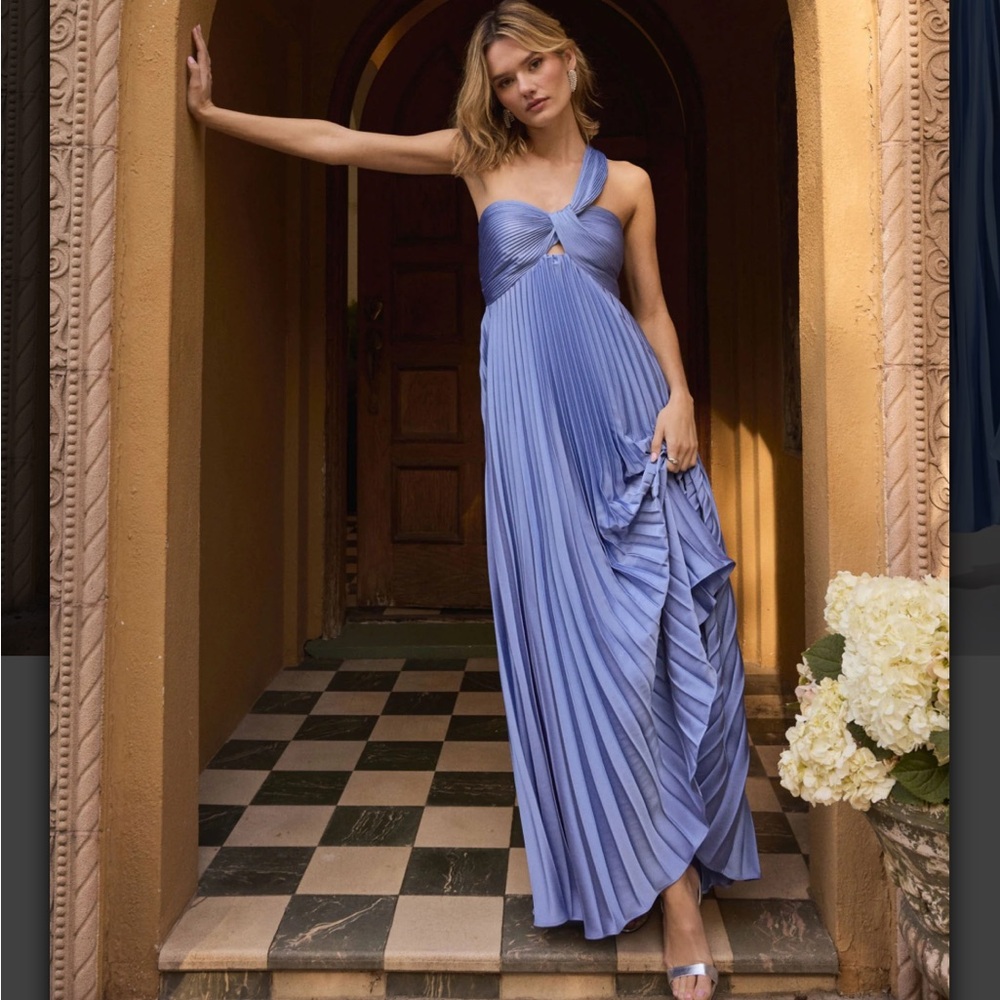 NWT Rasya Pleated Maxi Dress